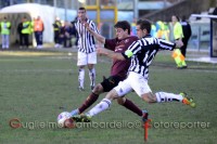 salernitana-ascoli